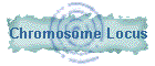 Chromosome Locus