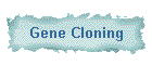 Gene Cloning