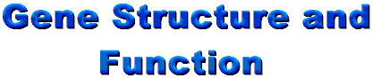 Gene Structure and Function